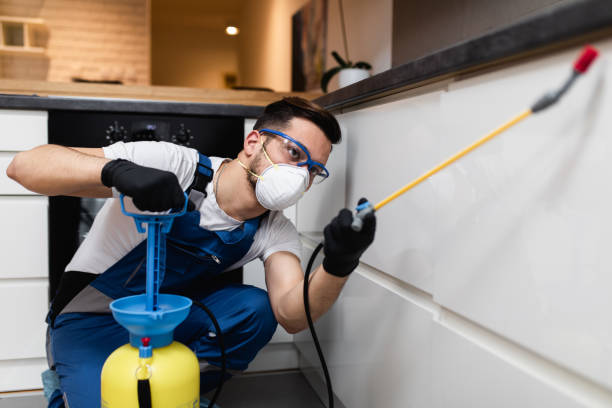 Best Cockroach Control Services  in Marquette, MI