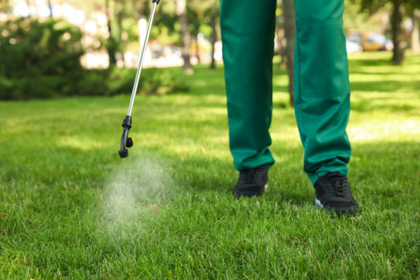 Best Best Pest Control Companies  in Marquette, MI