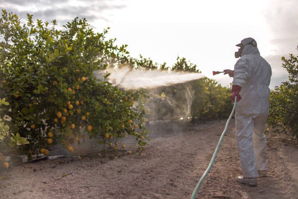 Best Mosquito Control Services  in Marquette, MI