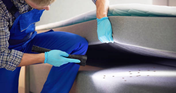 Best Affordable Pest Control Services  in Marquette, MI