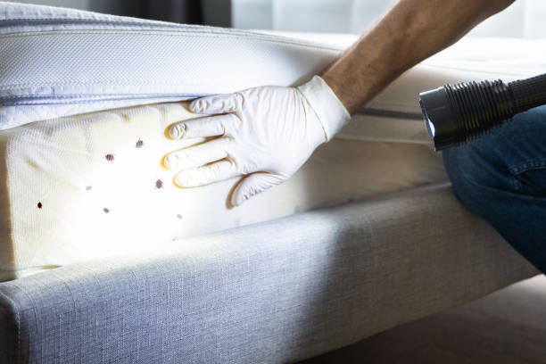 Best Pest Control Near Me  in Marquette, MI