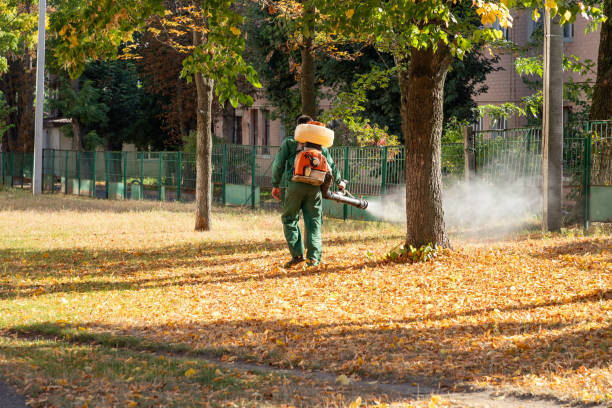 Best Best Pest Control Companies  in Marquette, MI