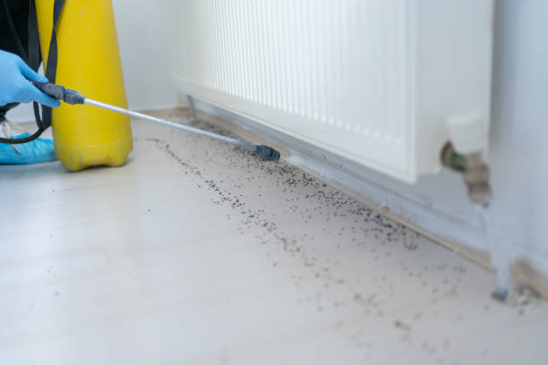 Best Commercial Pest Control Services  in Marquette, MI